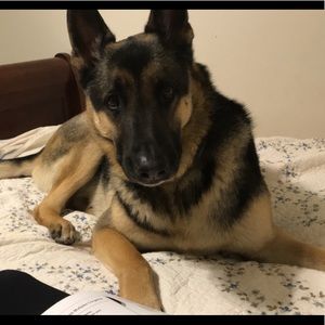 Meet your Posher, Brooke